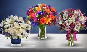 Flowers & Plants w/ Shipping