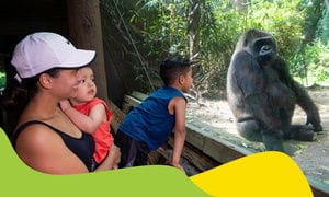 Admission for One Child or Adult to Bronx Zoo