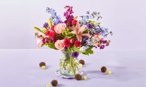 63% Off Same-Day Flowers and Gifts Delivery from ProFlowers