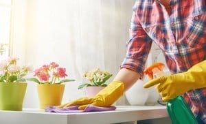 House Cleaning Services