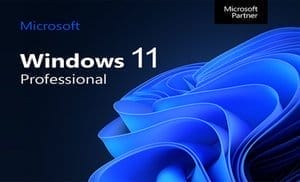 Windows 11 Pro