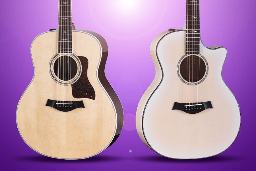 New Taylor 50th Anniversary Models