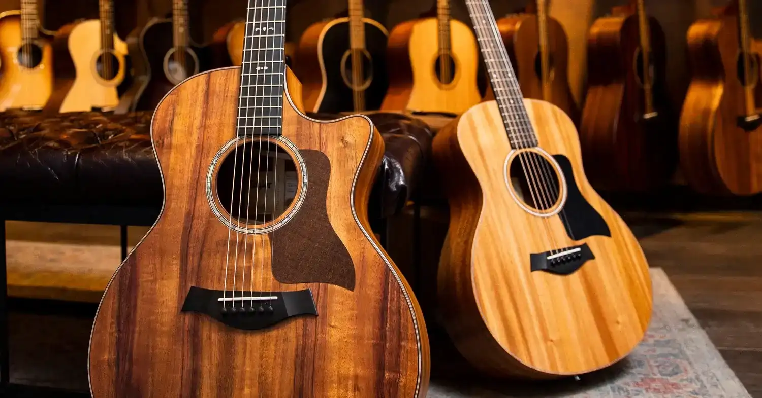 A Guide to Taylor Guitars