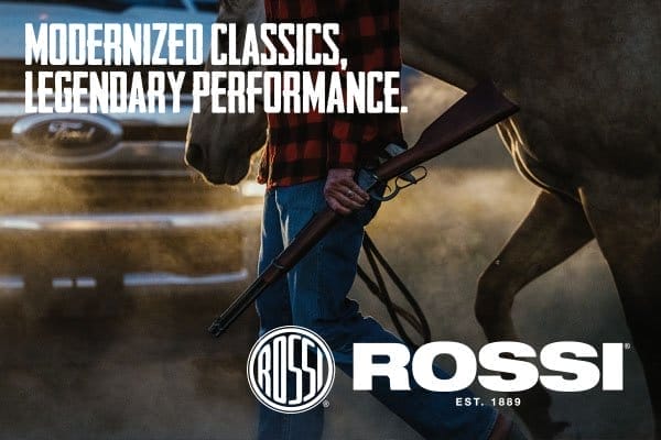 Rossi available on GunBroker.com