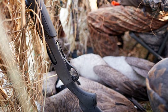 Waterfowl Shotguns