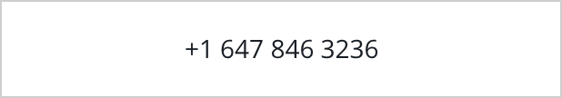 +16478463236