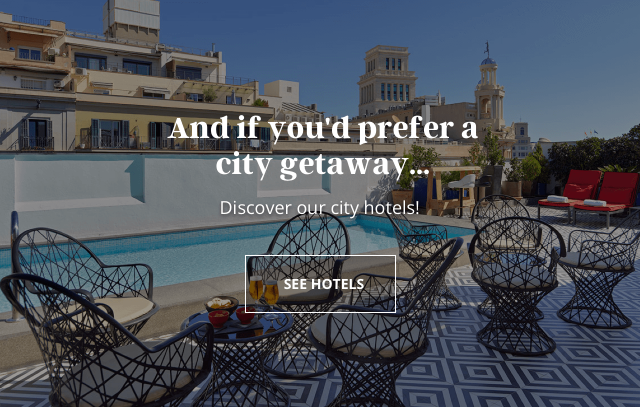 Discover our city hotels