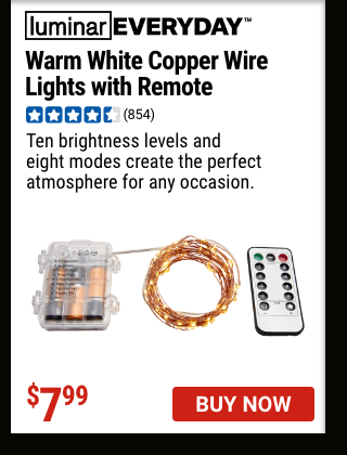 LUMINAR OUTDOOR: Warm White Copper Wire Lights with Remote