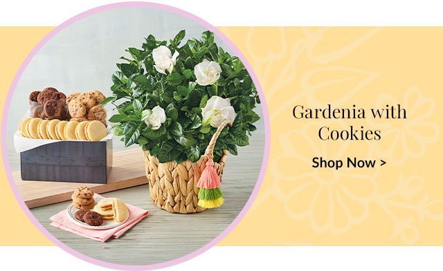 Gardenia with Cookies