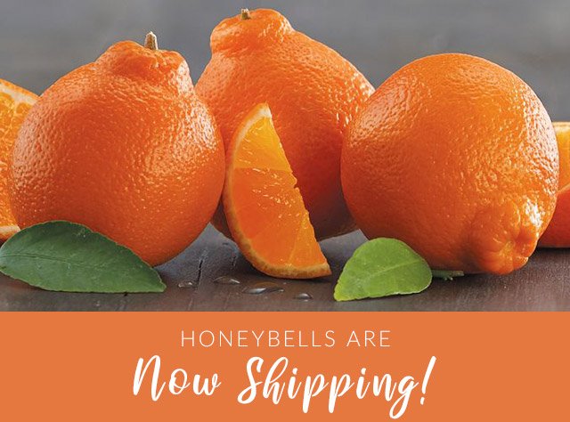 HoneyBells Are Now Shipping!