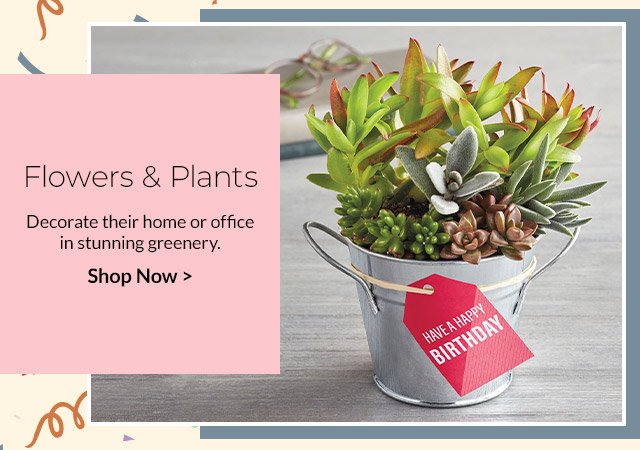 Flowers & Plants - Decorate their home or office in stunning greenery.