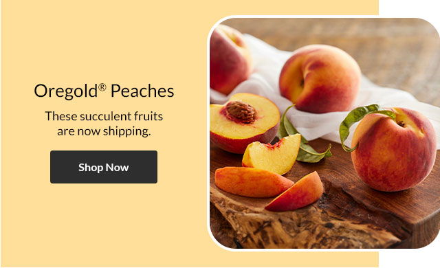 Oregold® Peaches - These succulent fruits are now shipping.