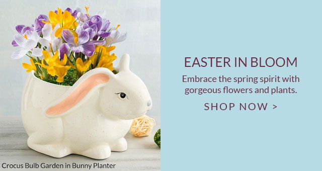 Easter in Bloom - Embrace the spring spirit with gorgeous flowers and plants.