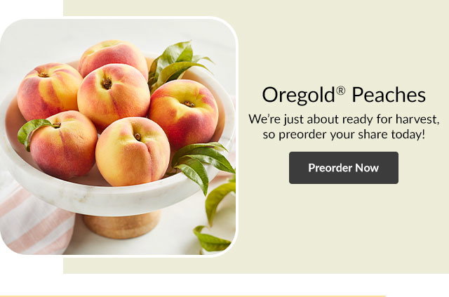 Oregold® Peaches - We're just about ready for harvest, so preorder your share today!