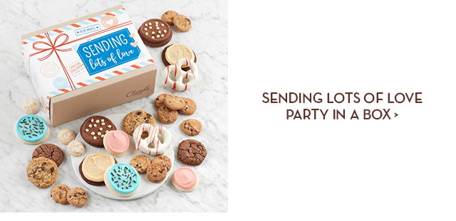 Sending Lots of Love Party in a Box