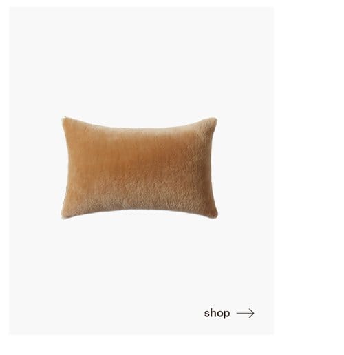 Shop Accent Pillow