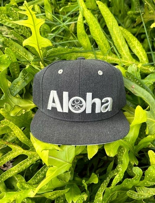 HIC Aloha Pono Hat