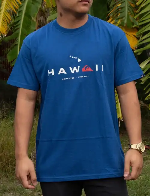 Quiksilver HI State Of Mind T-Shirt