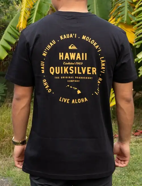 Quiksilver HI Badge T-Shirt