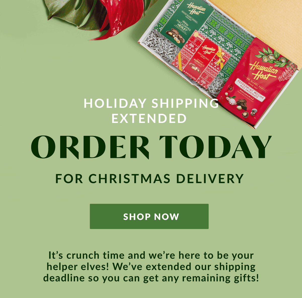 Order today by midnight for Christmas Delivery!