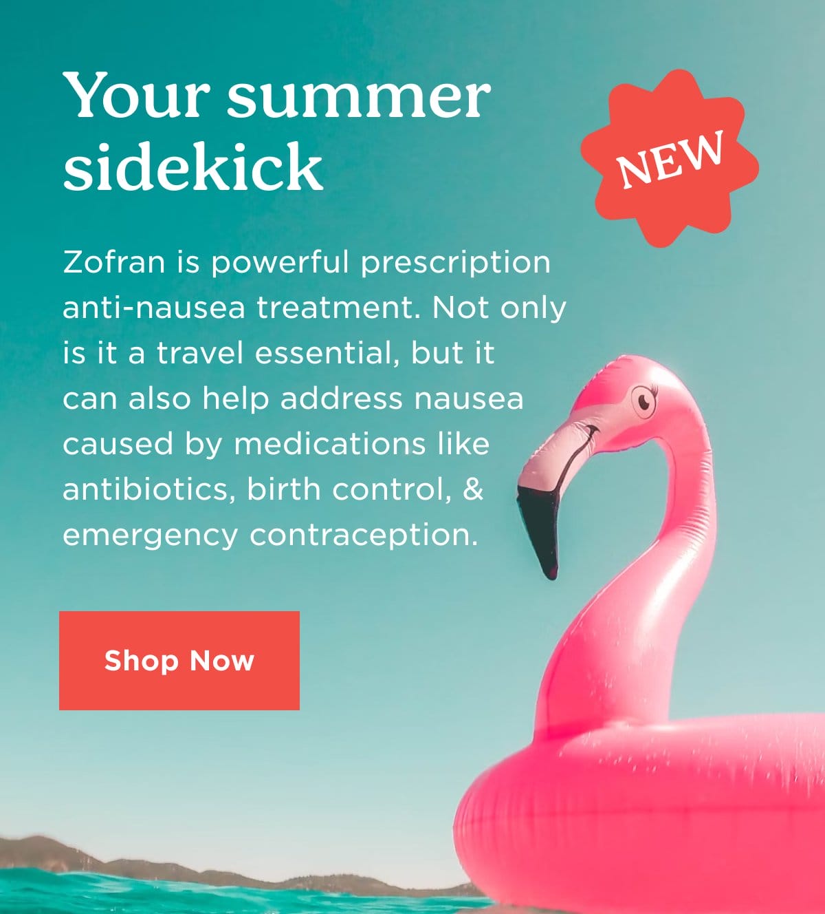 Your summer sidekick | Shop Now