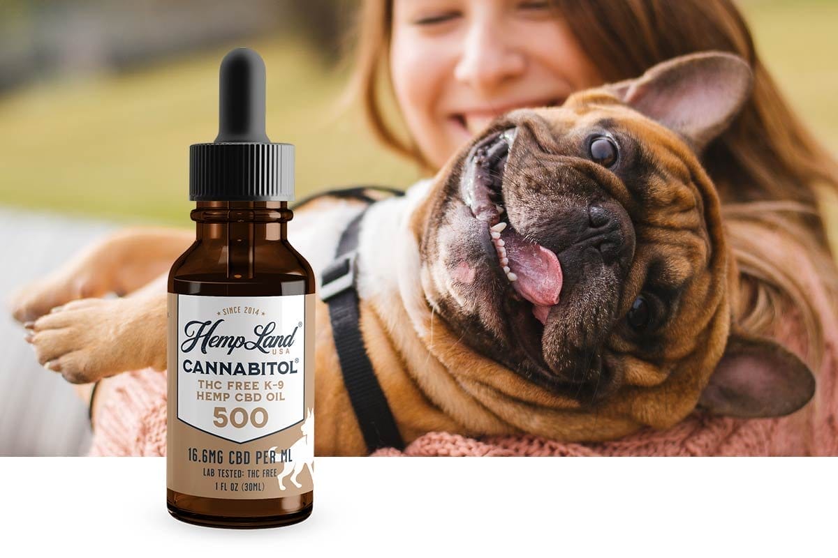 Take 50% Off CANNABITOL® K-9 CBD Oil