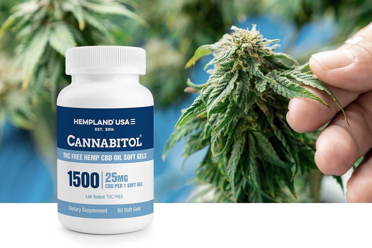 Take 50% Off CANNABITOL® CBD Soft Gels