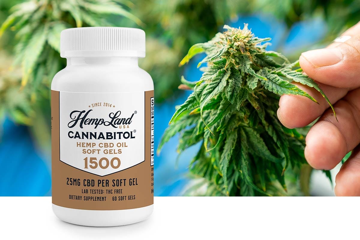 Take 50% Off CANNABITOL® CBD Soft Gels