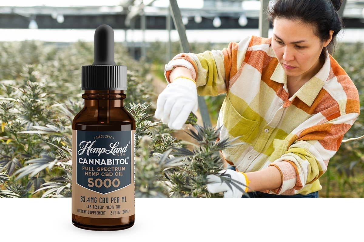 Take 50% Off CANNABITOL® Full-Spectrum 5000