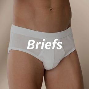 Briefs