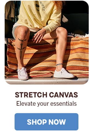 Button: SHOP STRETCH CANVAS