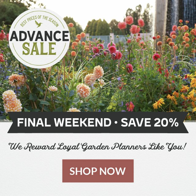 Advance Sale Final Weekend Save 20% - We Reward Loyal Garden Planners Like You! Shop Now