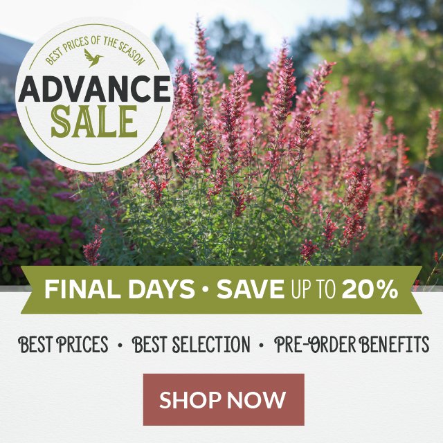 Advance Sale Final Days | Save Up To 20% | Best Prices, Best Selection, Pre-Order Benefits Shop Now