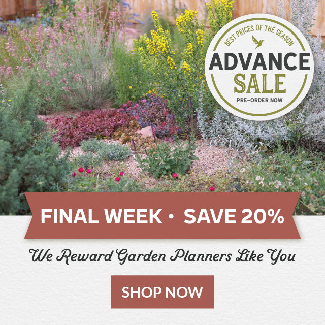 Advance Sale: Final Week For Best Prices Of The Season