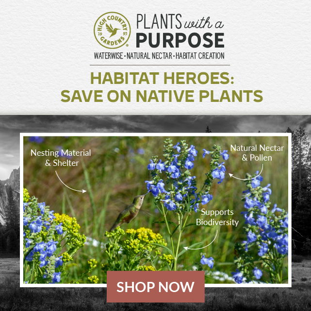 Save On Native Plants Shop Now