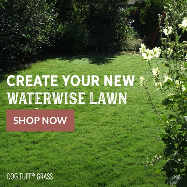 Create Your New Waterwise Lawn Shop Now