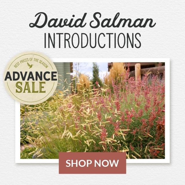 Advance Sale: High Country Gardens Introductions Shop Now
