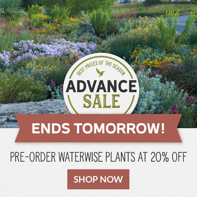 Final Day Advance Sale Ends Tomorrow