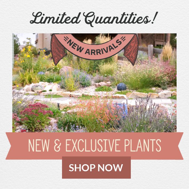 Limited Quantities! New & Exclusive Plants Shop Now