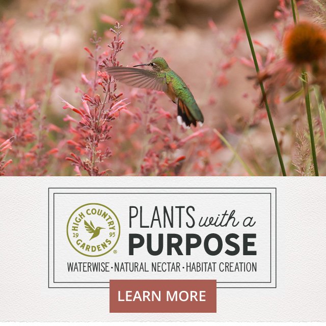 Plants With A Purpose - Waterwise, Natural Nectar, & Habitat Creation