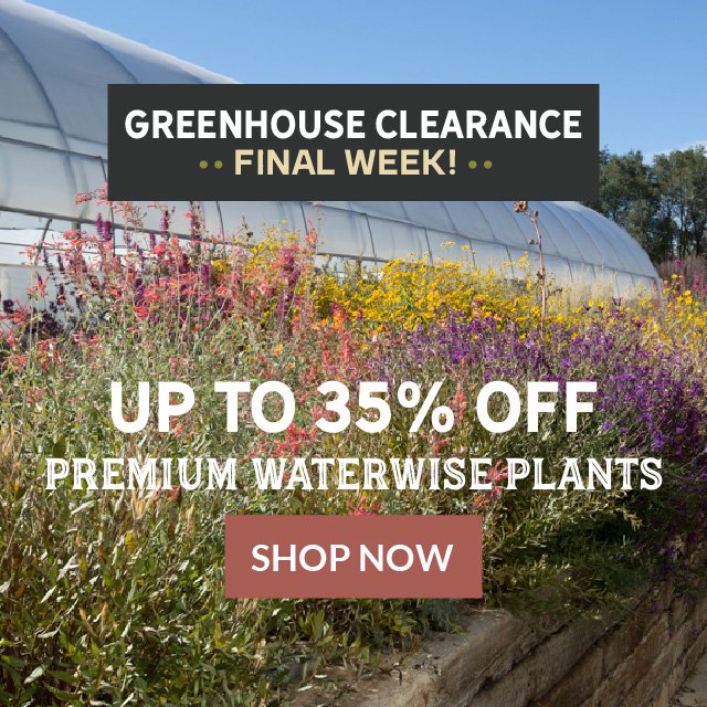 Greenhouse Clearance | Save Up To 35% | Limited Quantities