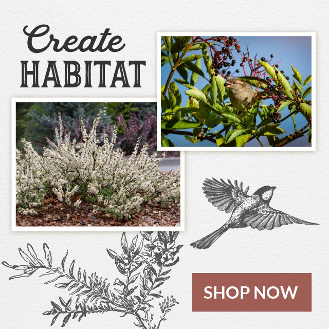 Create Habitat - Shop Now