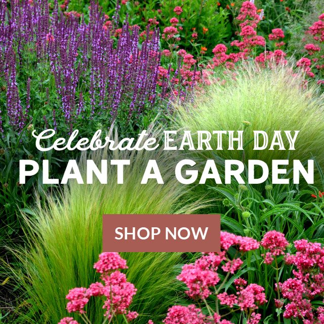 Celebrate Earth Day - Plant A Garden