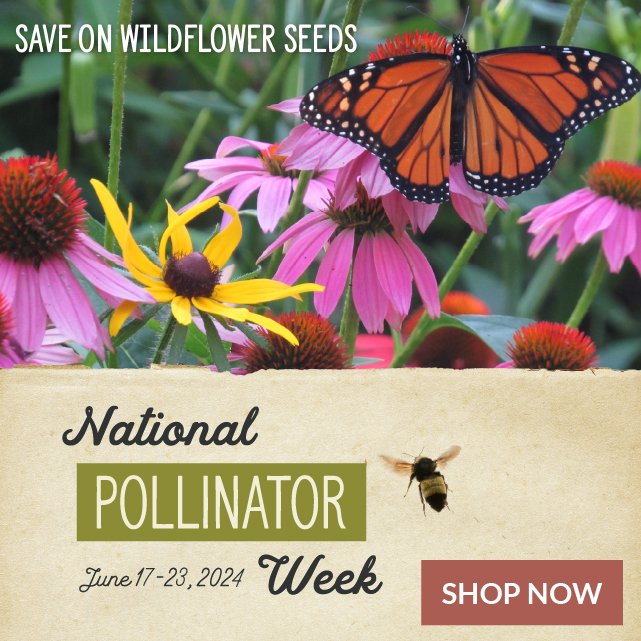 Save Up To 15% On Wildflowers