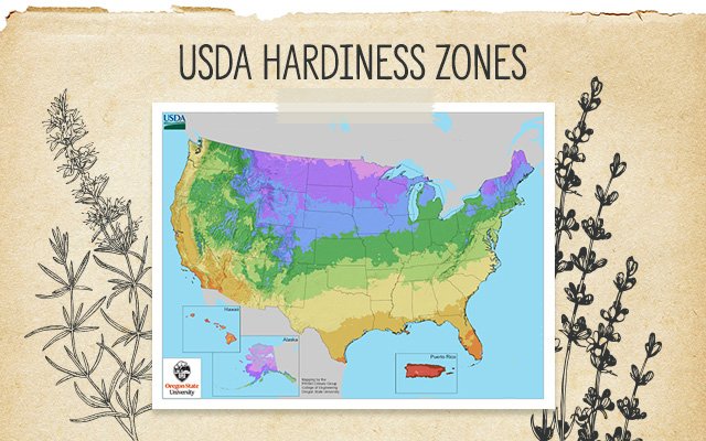 USDA Hardiness Zones Map