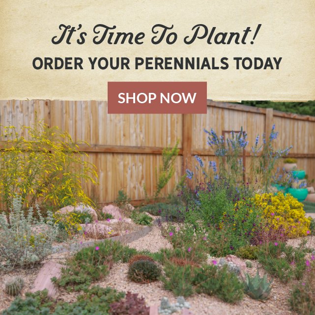 It's Time To Plant! Order Your Perennials Today Shop Now