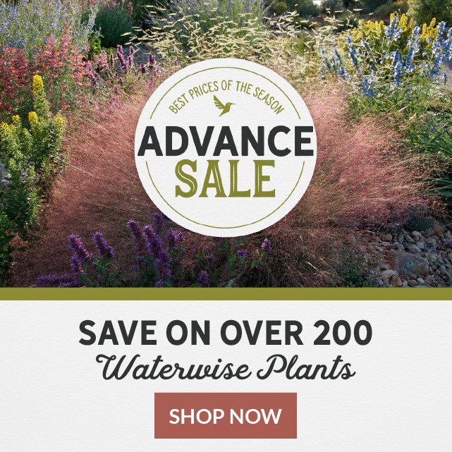 Advance Sale - Save On Over 200 Waterwise Plants Shop Now