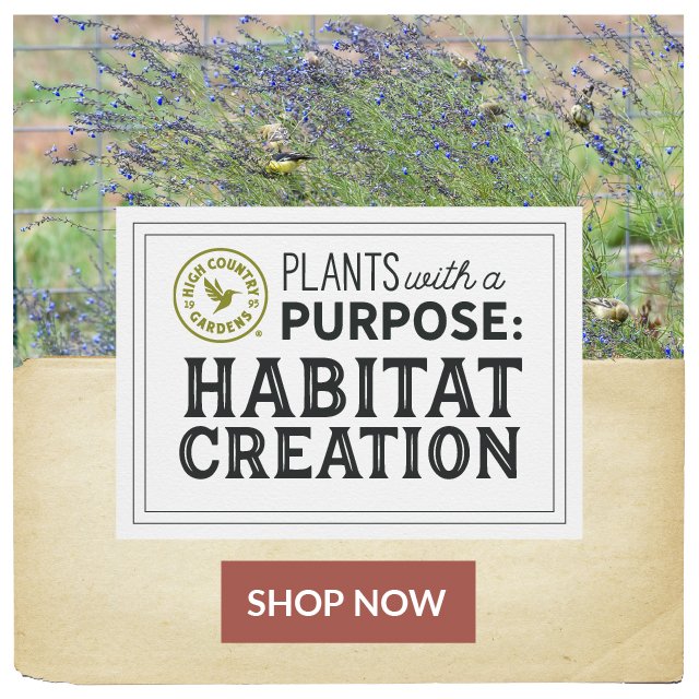 Plants With A Purpose: Habitat Creation - Shop Now