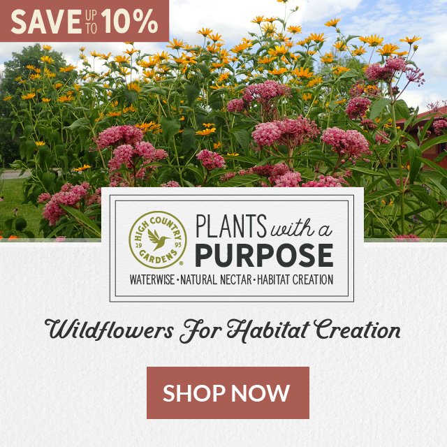 Save Up To 10% Wildflowers For Habitat Creation Shop Now