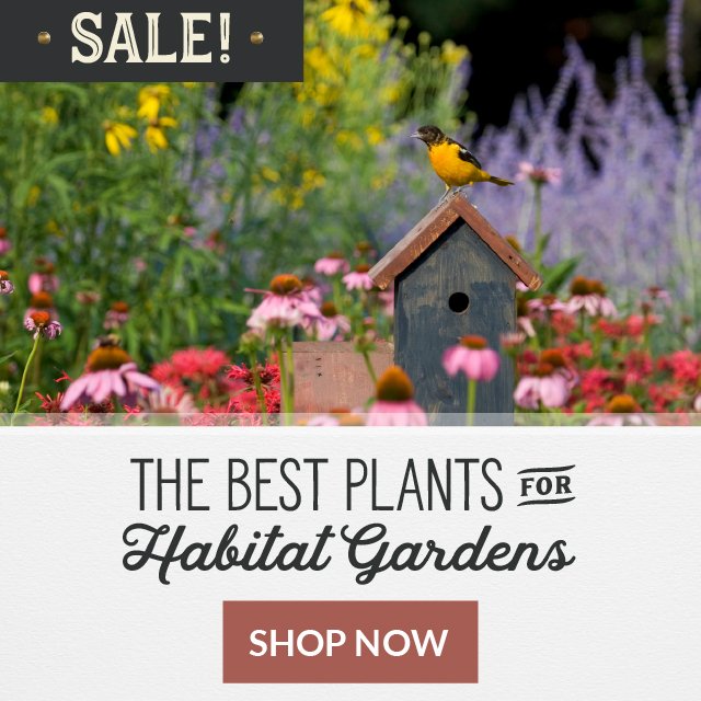 Sale! The Best Plants For Habitat Gardens Shop Now